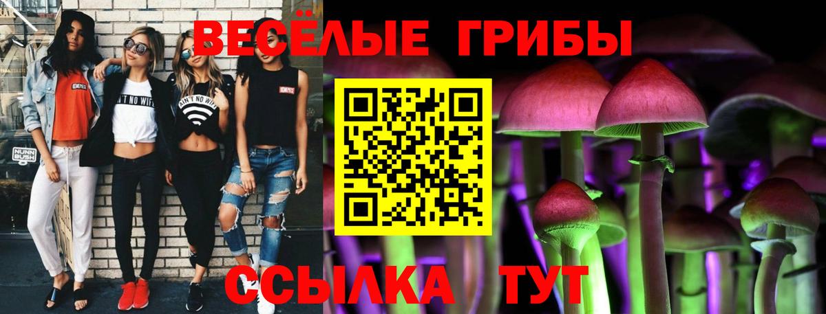 Галлюциногенные грибы Psilocybine cubensis  Псилоцибиновые грибы ЛСД  Вход с VPN  Саранск 