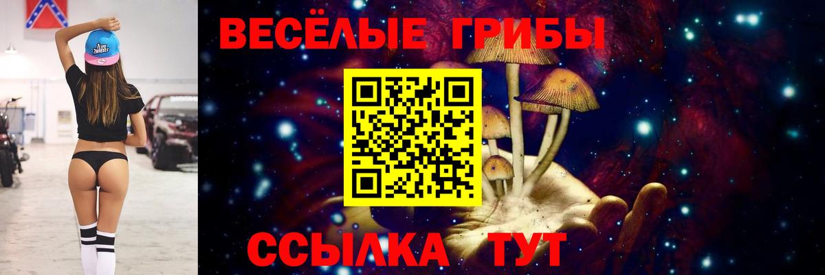 Псилоцибиновые грибы мицелий Саранск