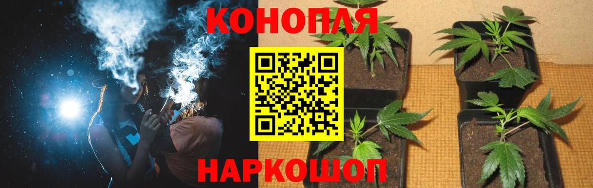МАРИХУАНА Bruce Banner  Каннабис тримм  Саранск  Марихуана план  Вход с VPN  Конопля MAZAR 
